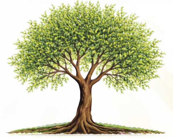 נוטעים עתיד